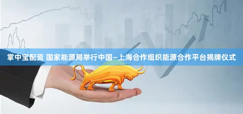 掌中宝配资 国家能源局举行中国—上海合作组织能源合作平台揭牌仪式