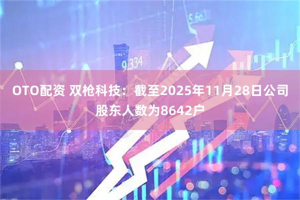 OTO配资 双枪科技：截至2025年11月28日公司股东人数为8642户